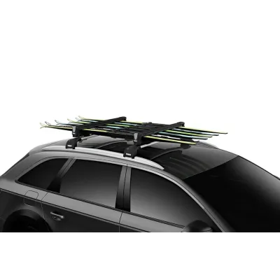 Thule SnowPack L 7326-7