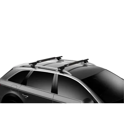 Thule Surf Pads taille étroite L longueur 76cm x2